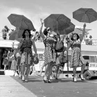Fire Island Invasion by Anderson Zaca